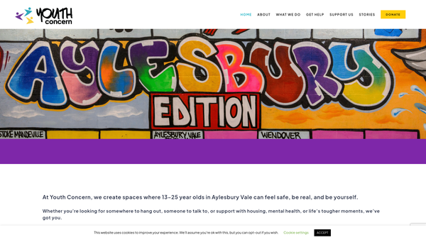 Screenshot of the Youth Concern website