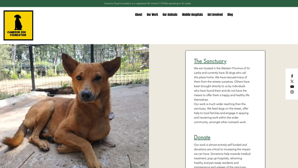 Screenshot of the The Cameron Dog Foundation website