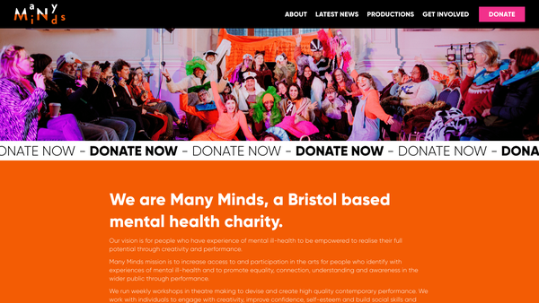 Screenshot of the Many Minds website