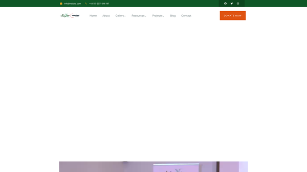 Screenshot of the Naijaid website