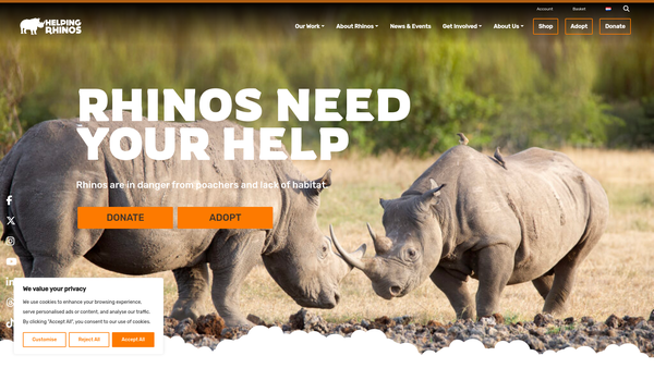 Screenshot of the Helping Rhinos website