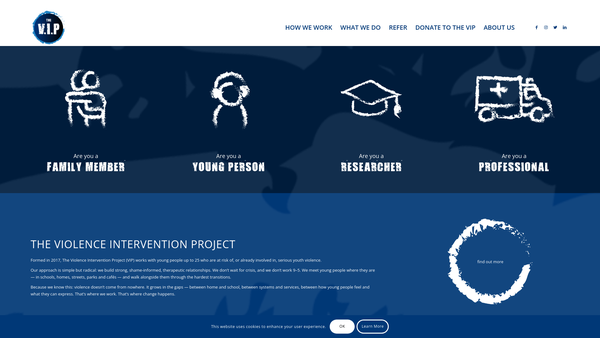 Screenshot of the The Vip - Violence Intervention Project website