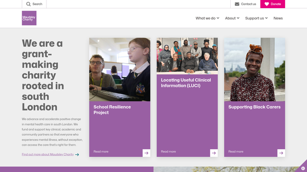 Screenshot of the Maudsley Charity website