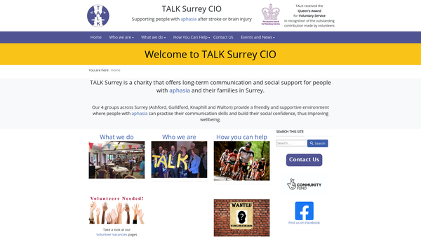 Screenshot of the Talk Surrey CIO website