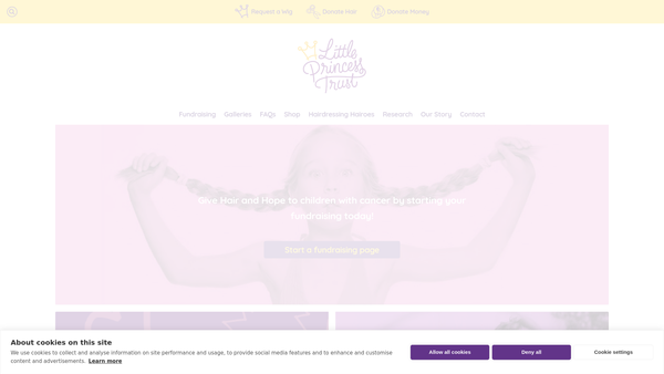 Screenshot of the The Little Princess Trust website