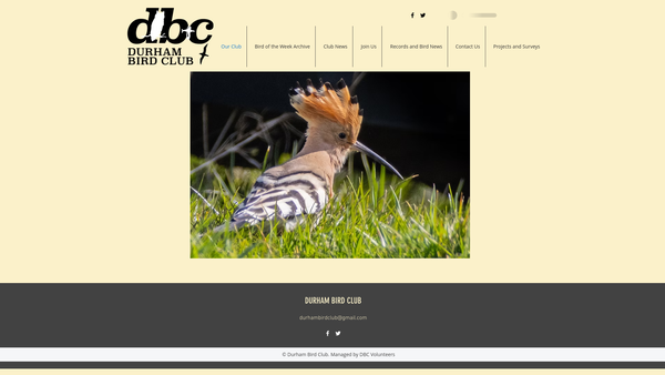Screenshot of the Durham Bird Club website