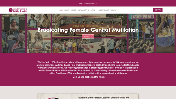 Screenshot of the Gmc Charity To End Fgm website