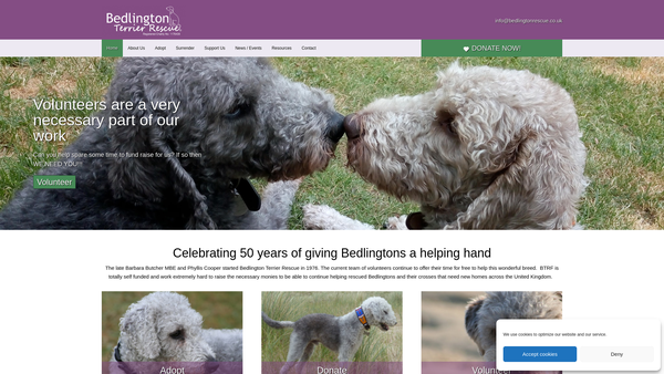 Screenshot of the Bedlington Terrier Rescue Foundation website