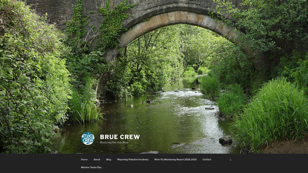 Screenshot of the Bruecrew website