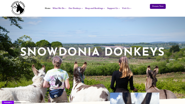 Screenshot of the Snowdonia Donkeys website