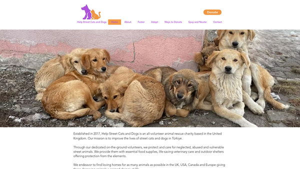 Screenshot of the Help Street Cats And Dogs website
