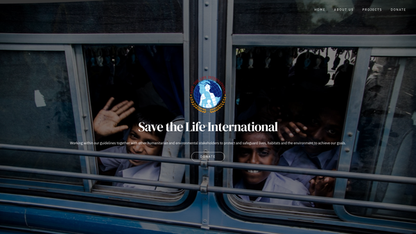 Screenshot of the Save The Life International website