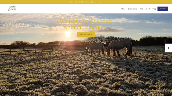 Screenshot of the Bolenowe Animal Sanctuary website