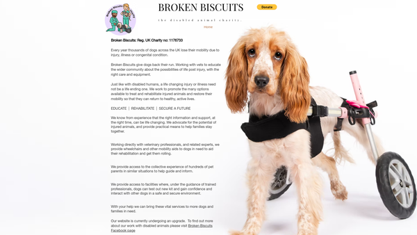 Screenshot of the Broken Biscuits website