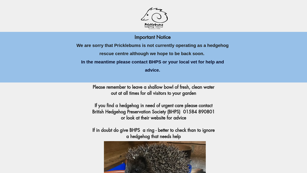 Screenshot of the Pricklebums Hedgehog Rescue website