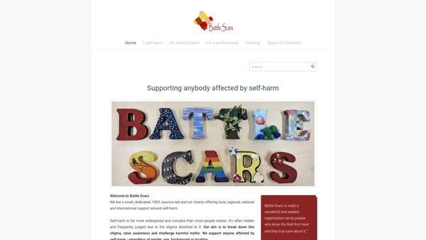 Screenshot of the Battle Scars website