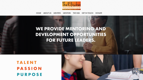 Screenshot of the The Elischer Foundation website