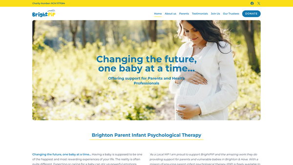 Screenshot of the Brighton Pip Ltd website