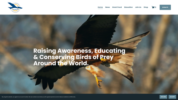 Screenshot of the Raptor Aid CIO website
