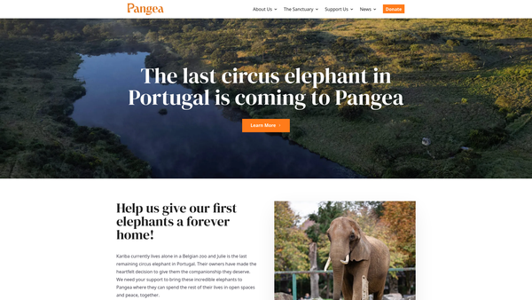 Screenshot of the The Pangea Trust website