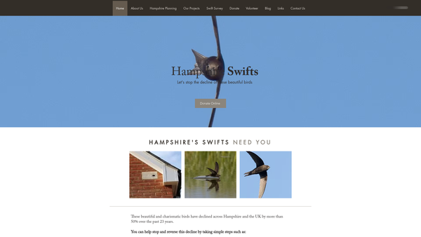 Screenshot of the Hampshire Swifts website