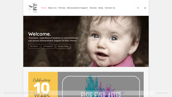 Screenshot of the Elsie Ever After website