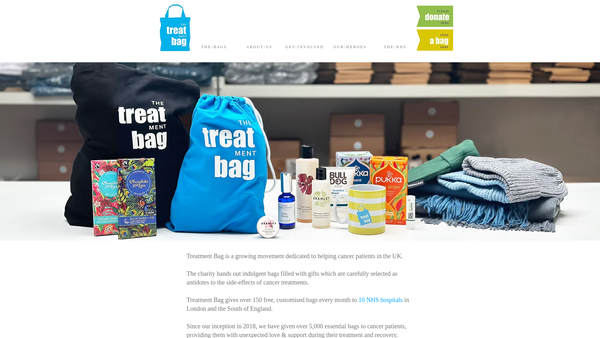 Screenshot of the The Treatment Bag CIO website