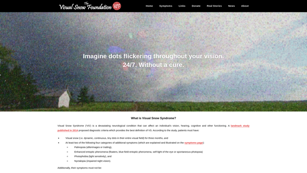 Screenshot of the The Visual Snow Foundation website