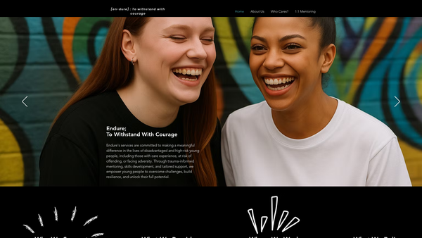 Screenshot of the Endure Mentoring website