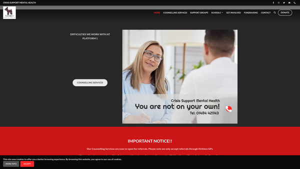 Screenshot of the Platform 1 website