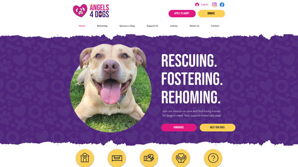 Screenshot of the Angels 4 Dogs Rescue website