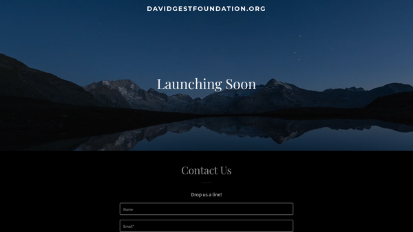 Screenshot of the David Gest Foundation website