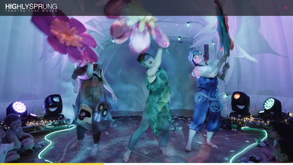 Screenshot of the Highly Sprung Performance website