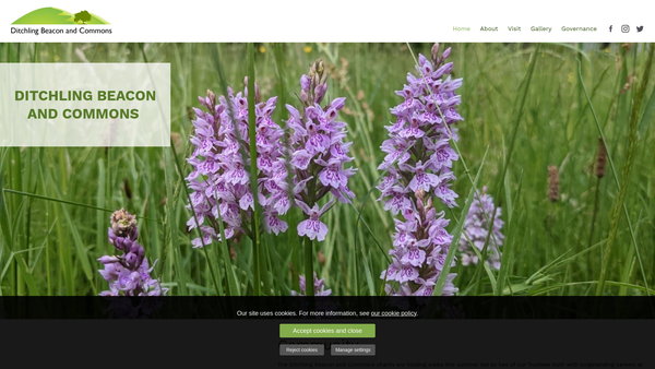 Screenshot of the Ditchling Beacon And Commons website