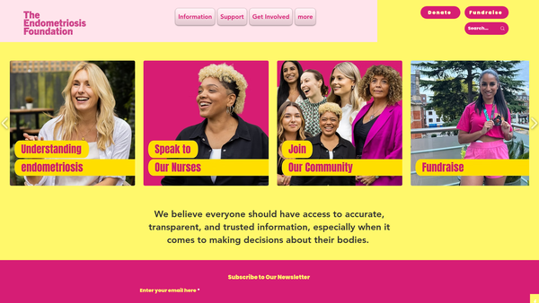Screenshot of the The Endometriosis Foundation website