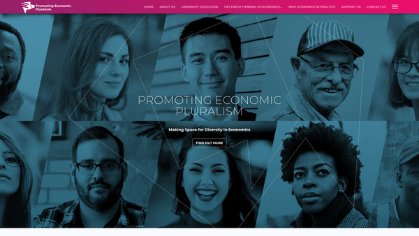 Screenshot of the Promoting Economic Pluralism website