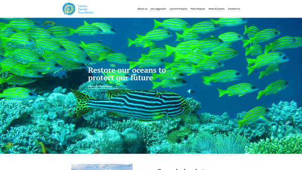 Screenshot of the Levine Family Foundation website