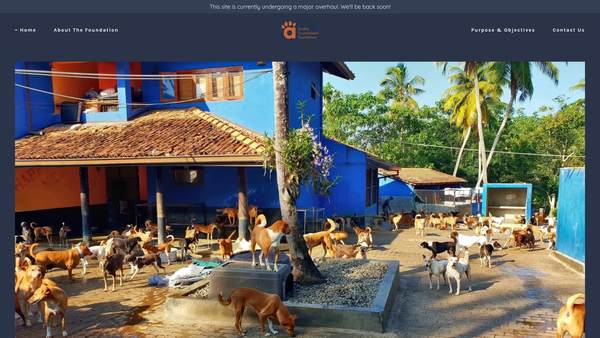 Screenshot of the The Archie Cruickshank Foundation website