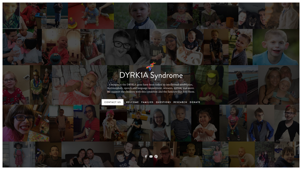 Screenshot of the The Dyrk1a UK Community website