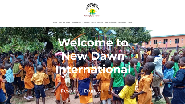 Screenshot of the New Dawn International website