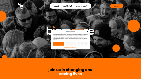 Screenshot of the Bigmoose website