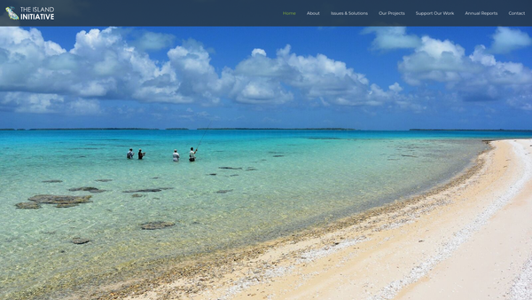Screenshot of the The Island Initiative website