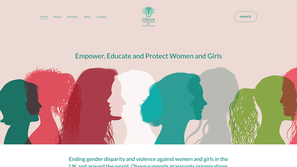 Screenshot of the The Olwyn Foundation website