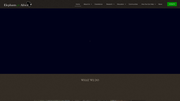 Screenshot of the Elephants For Africa website