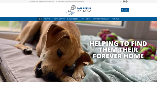 Screenshot of the Safe Rescue Ltd website