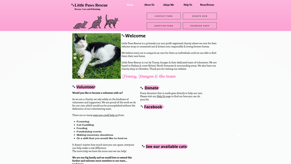 Screenshot of the Little Paws Rescue website