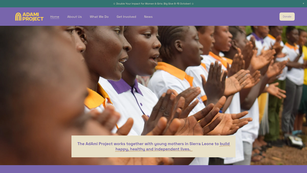 Screenshot of the Adami Project website