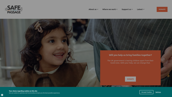 Screenshot of the Safe Passage International website