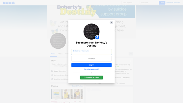 Screenshot of the Doherty's Destiny Limited website