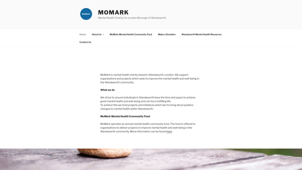 Screenshot of the Momark CIO website